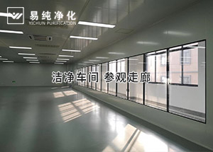 潔凈參觀走廊這樣設計大氣不？